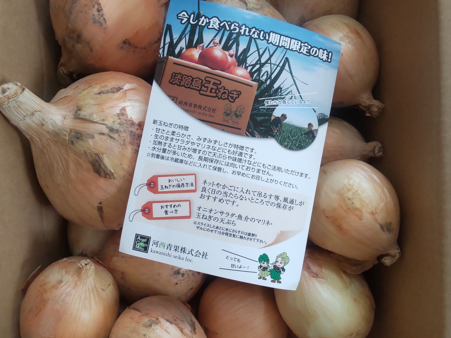 ブランドのギフト 特別価格】【訳あり】淡路島新玉ねぎ5kg：兵庫県産のその他 野菜