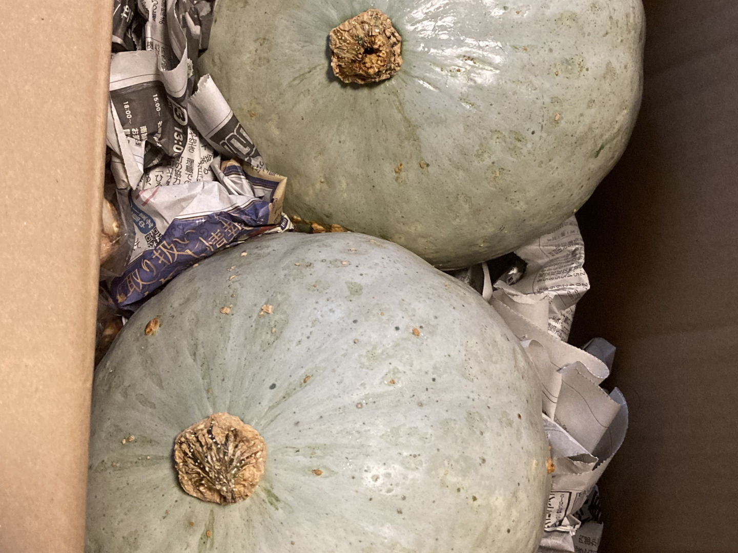 楽天市場】【ふるさと納税】かぼちゃ 南瓜 2玉 約2.5～3kg 冬至