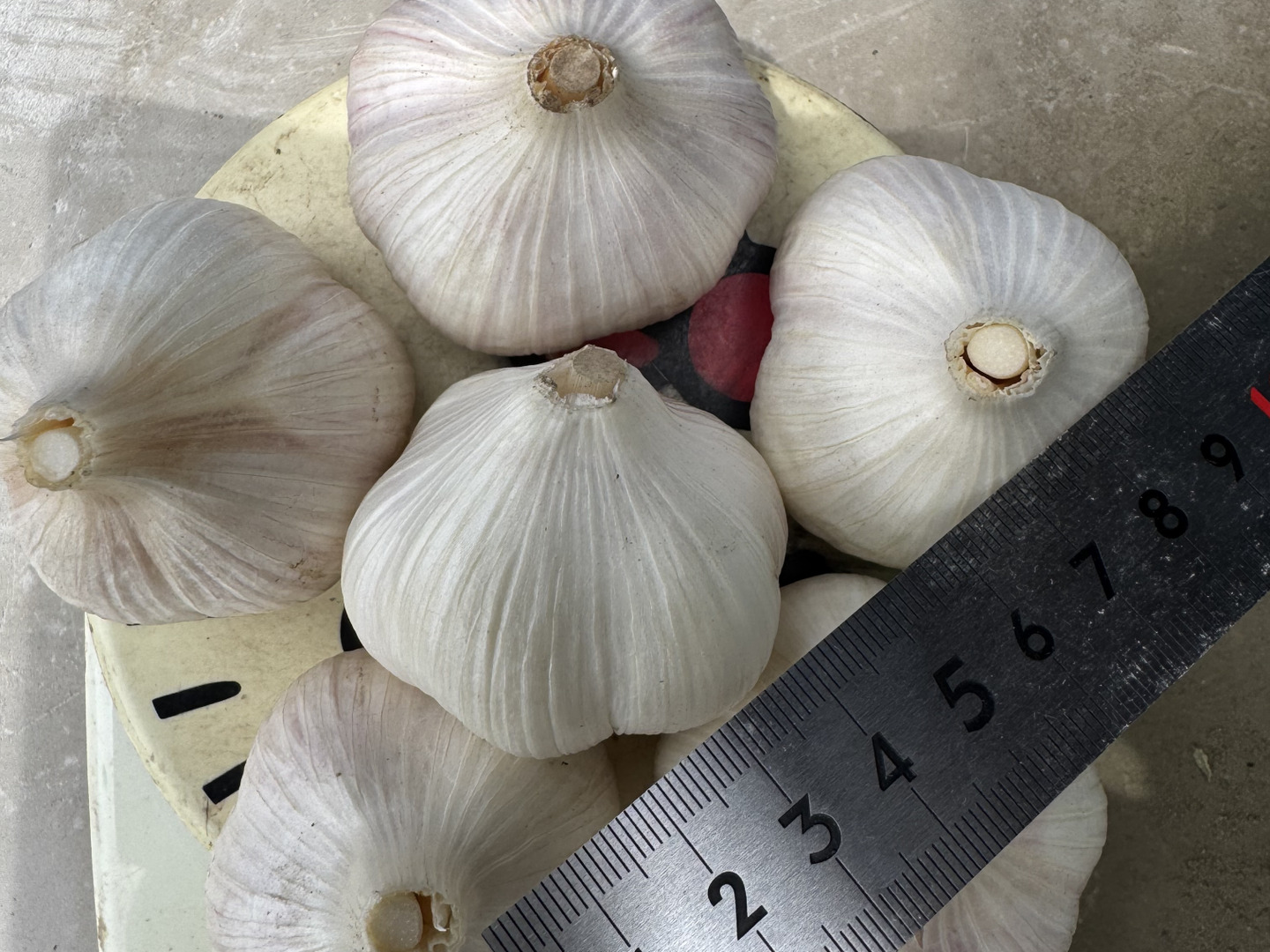 令和7年産 自然農法【7kg】国産にんにく 無農薬　無化学肥料 自然栽培にんにく 1kg 2024年度産 送料無料 無肥料 無農薬 自然