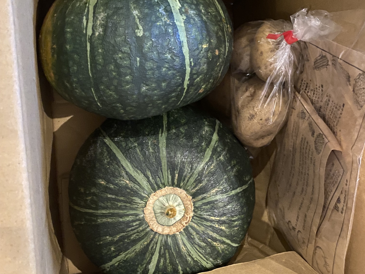 【2玉🎃約5㎏】北海道産🎃農薬化学肥料不使用🎃ホクホク美味しい『くりりん南瓜😋』:北海道産のその他かぼちゃ|食べチョク|産地直送(産直)お ...