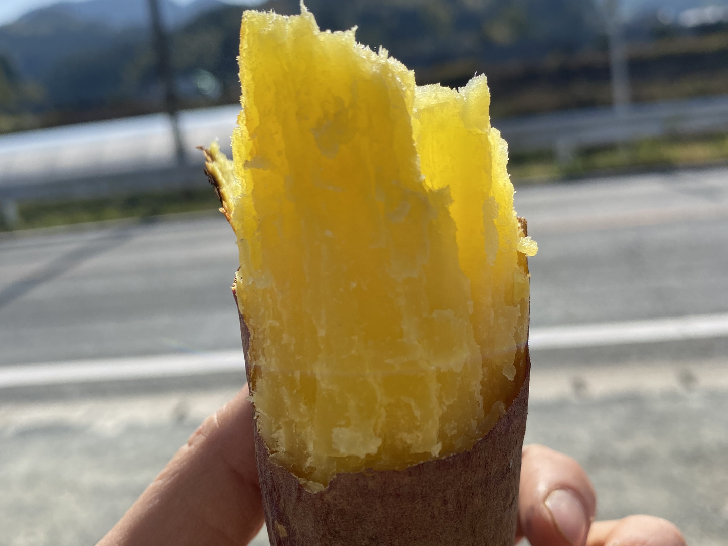 特価 feb33cc3e3ffff97976210438dc722 果物