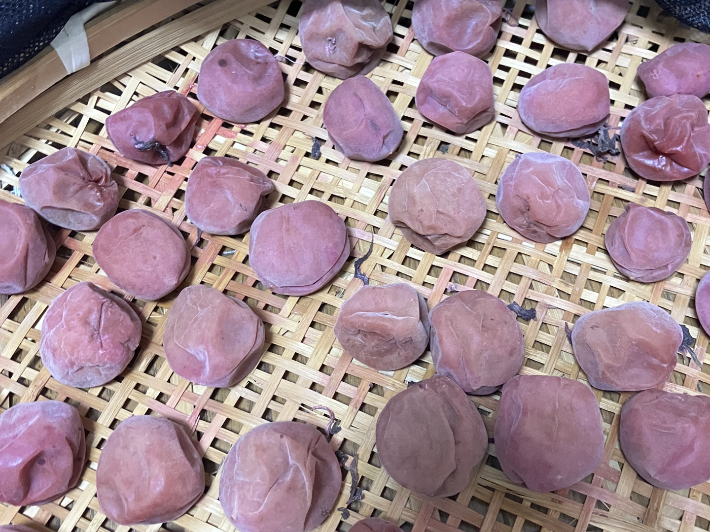 予約受付中】紀州南高梅 青梅 10kg（5kg×2箱）大粒 2L〜3L 有田川町産