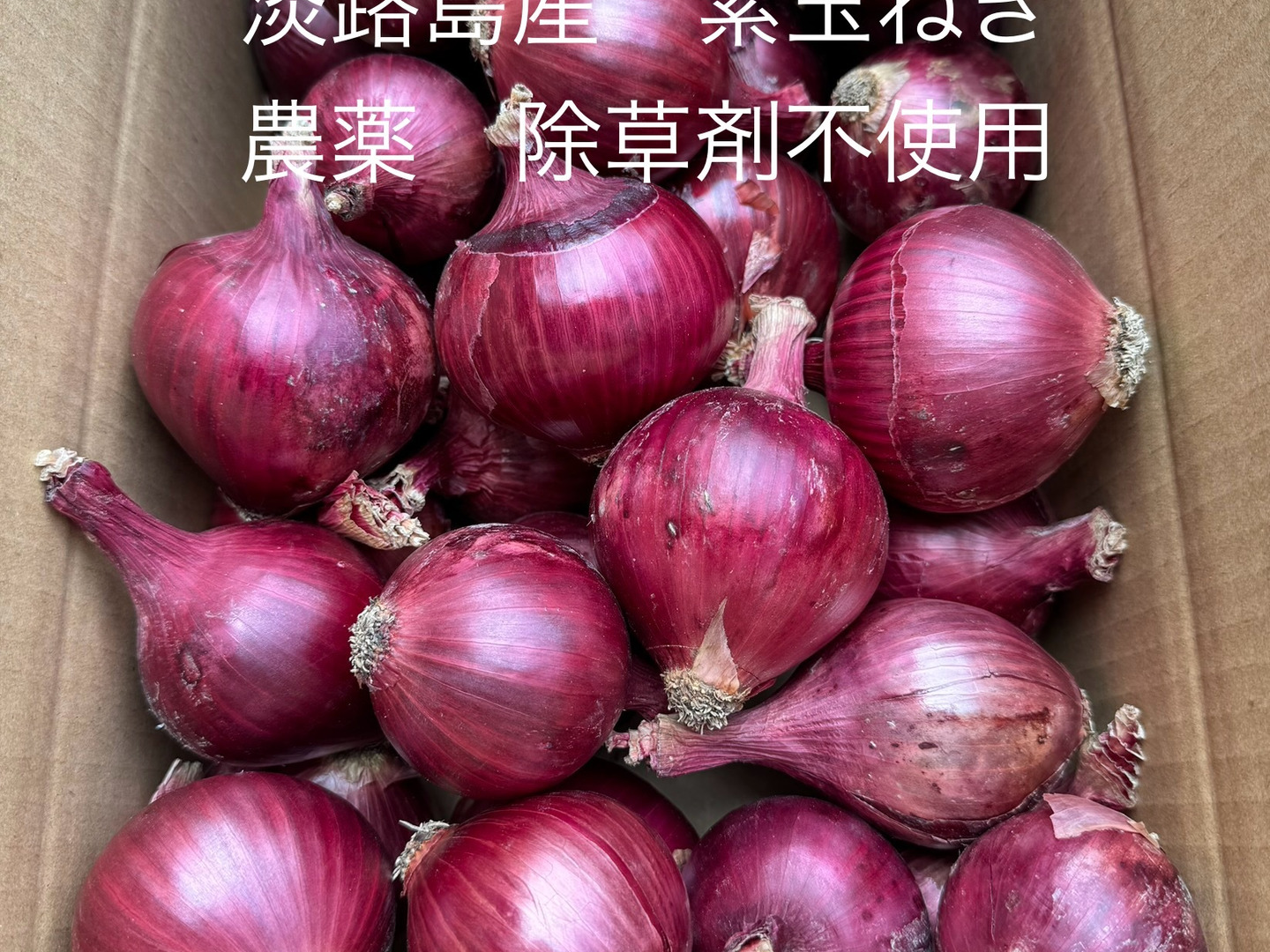 正規激安 ff9c490bc0056cf1e246e395144f98 野菜