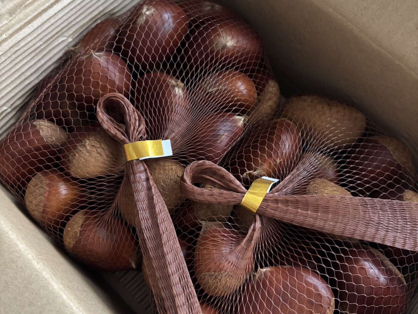 生栗　10kg Lサイズ　三重県産　農家直送　無農薬 生栗 10kg Lサイズ 三重県産 農家直送 無農薬 旬の秋！農薬