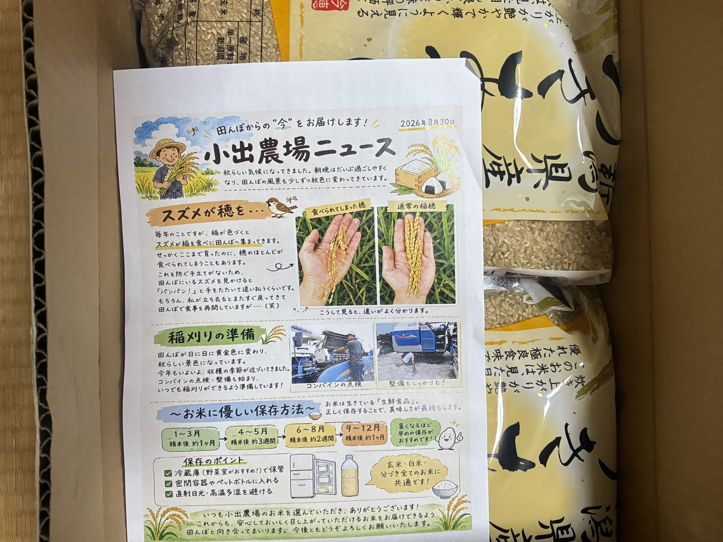 新米 新潟県産 つきあかり 10キロ 玄米 令和8年産 米 (tukiakari-10kg