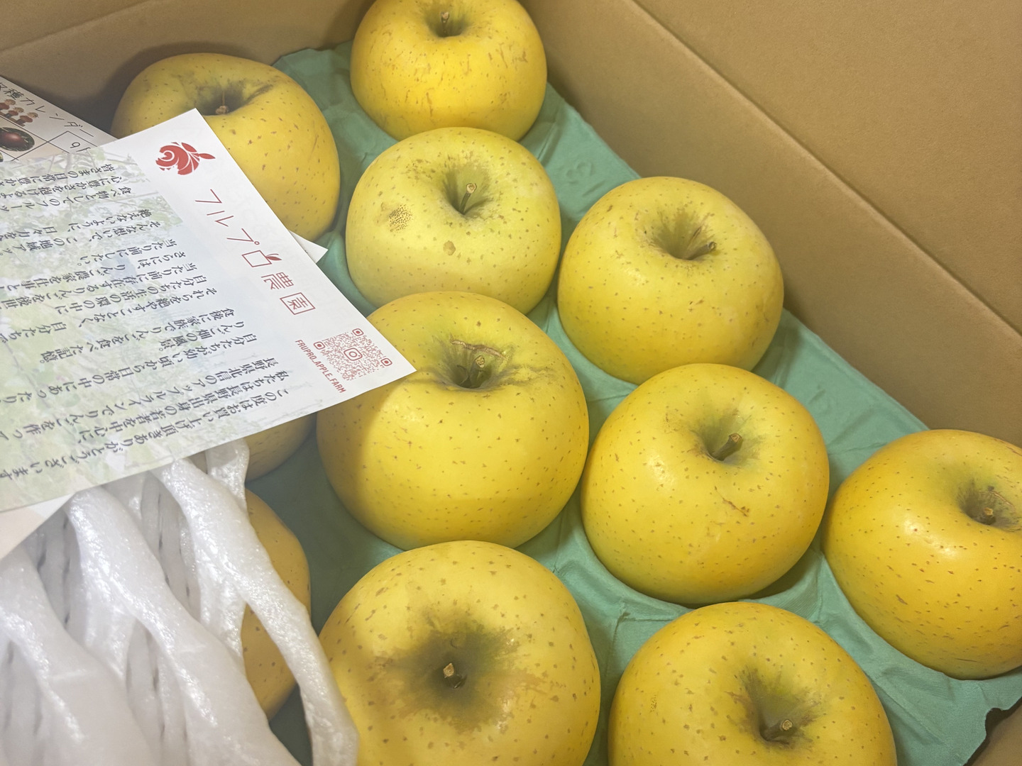家庭用】シナノゴールド 約4.5kg 12-25玉 パリっと歯ごたえ