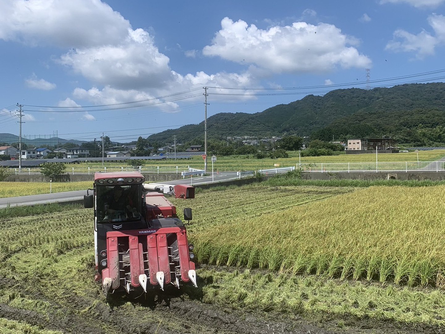 令和6年産】愛知県産音羽米 有機JAS玄米10㎏(5kg×2