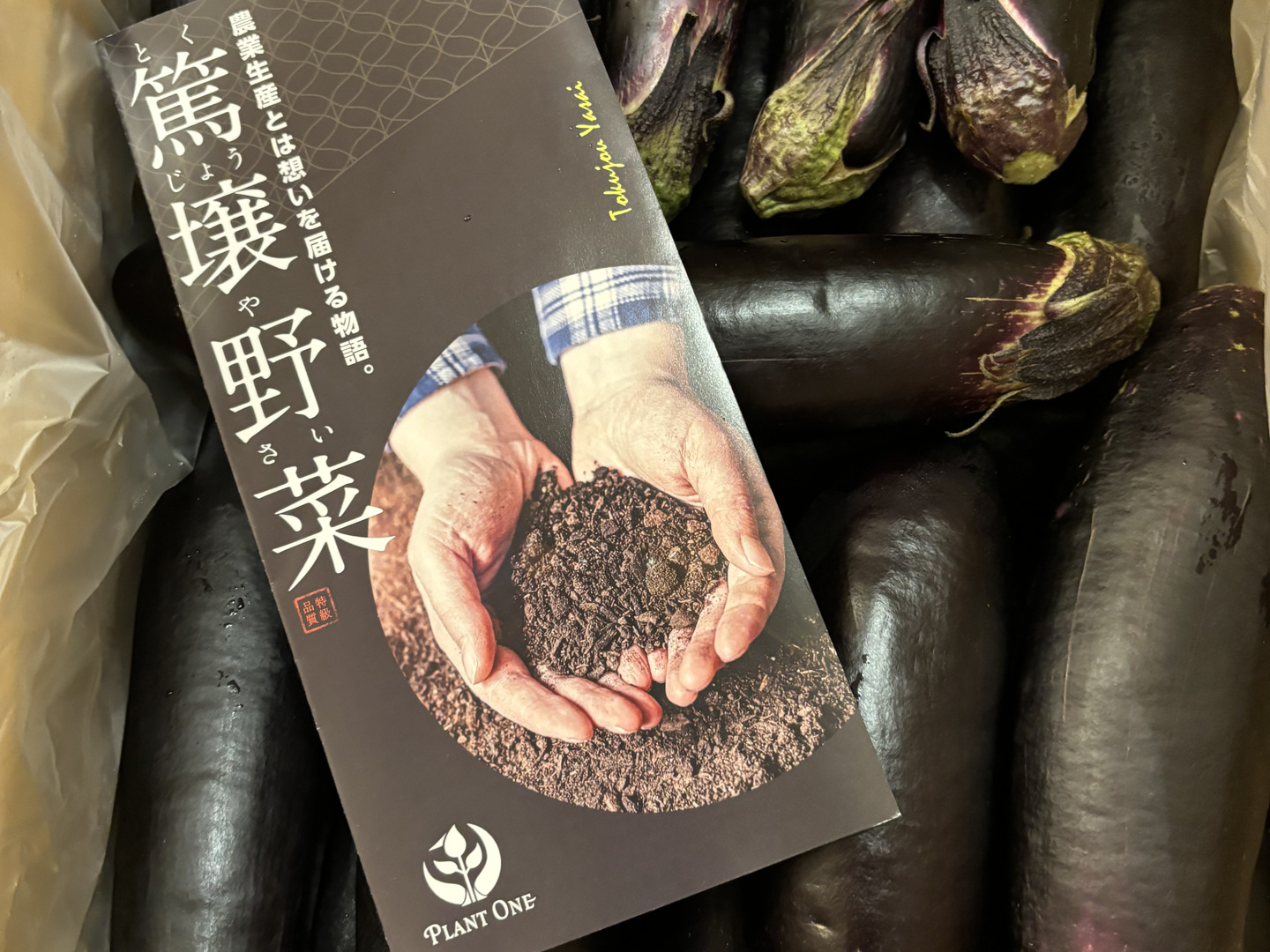 やまなす品 野菜 なす 5キロ 宮崎県産：宮崎県産の筑陽｜食べチョク｜産地