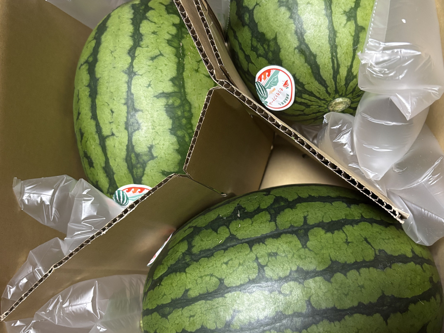 小玉スイカ3玉：長崎県産のうり坊｜食べチョク｜産地直送(産直)お