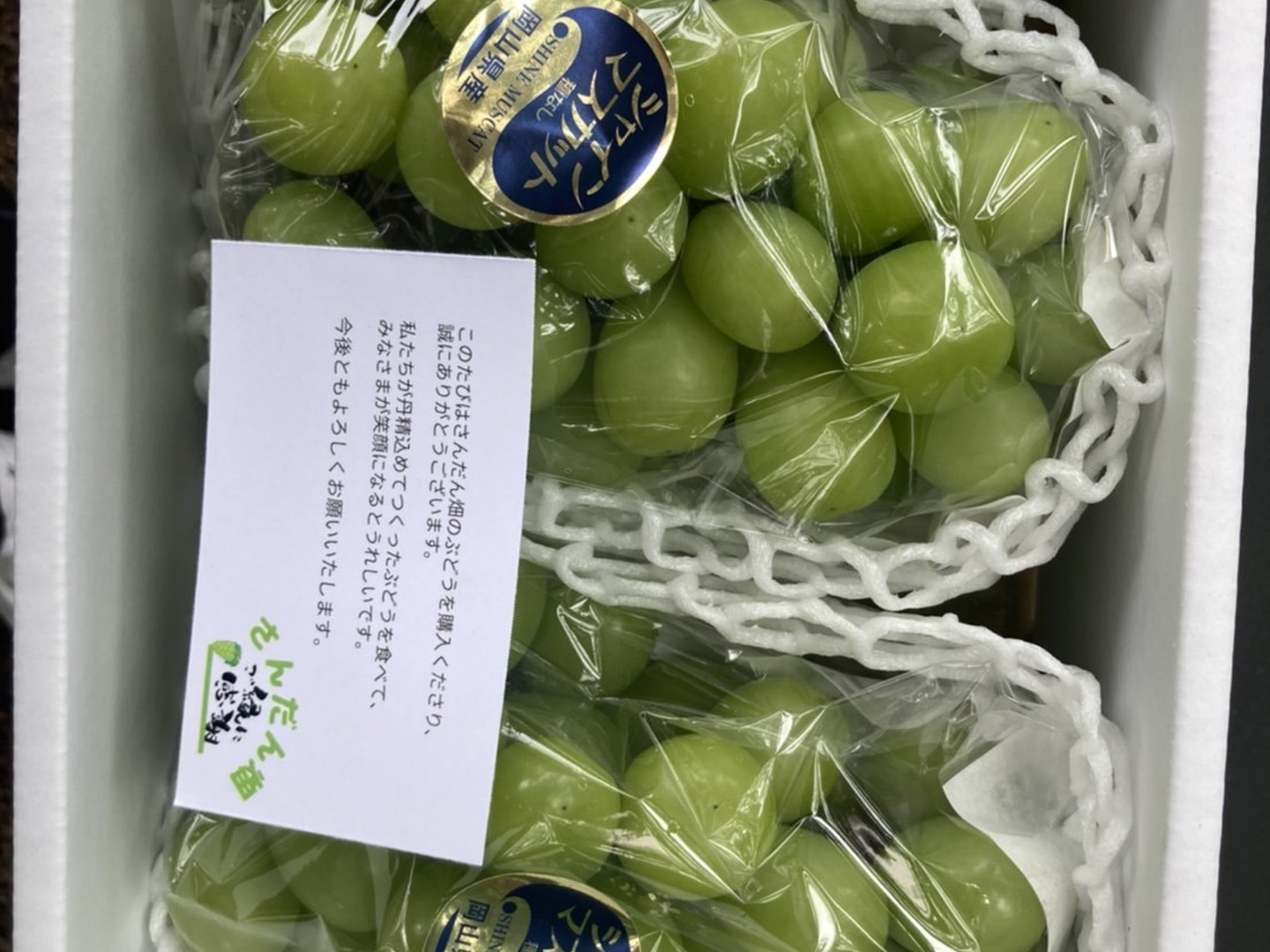【9月9日限定】岡山産シャインマスカット2kg 楽天市場】岡山 シャインマスカット 2kgの通販