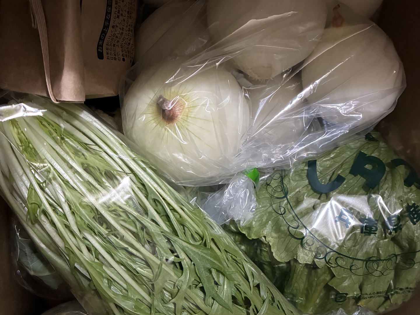 【陽菜出品】 たまねぎドレッシング母(たみちゃんシリーズ) | 森食品