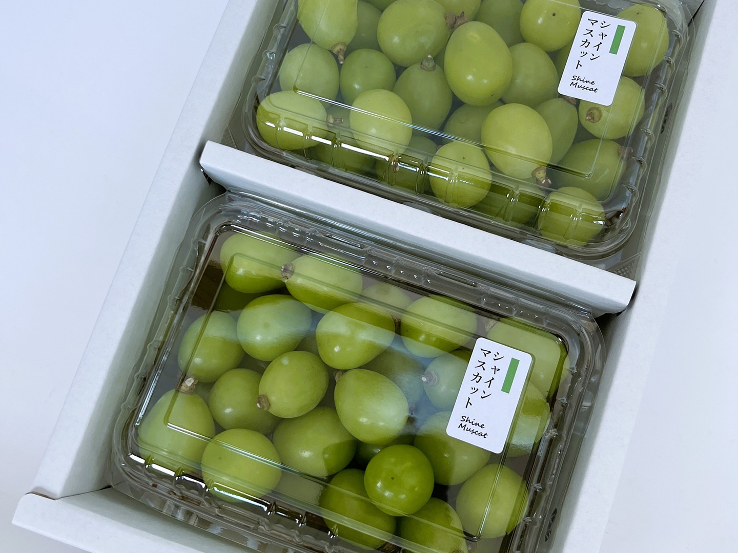 TUBU] シャインマスカット（500g×2パック）：山形県産のシャイン