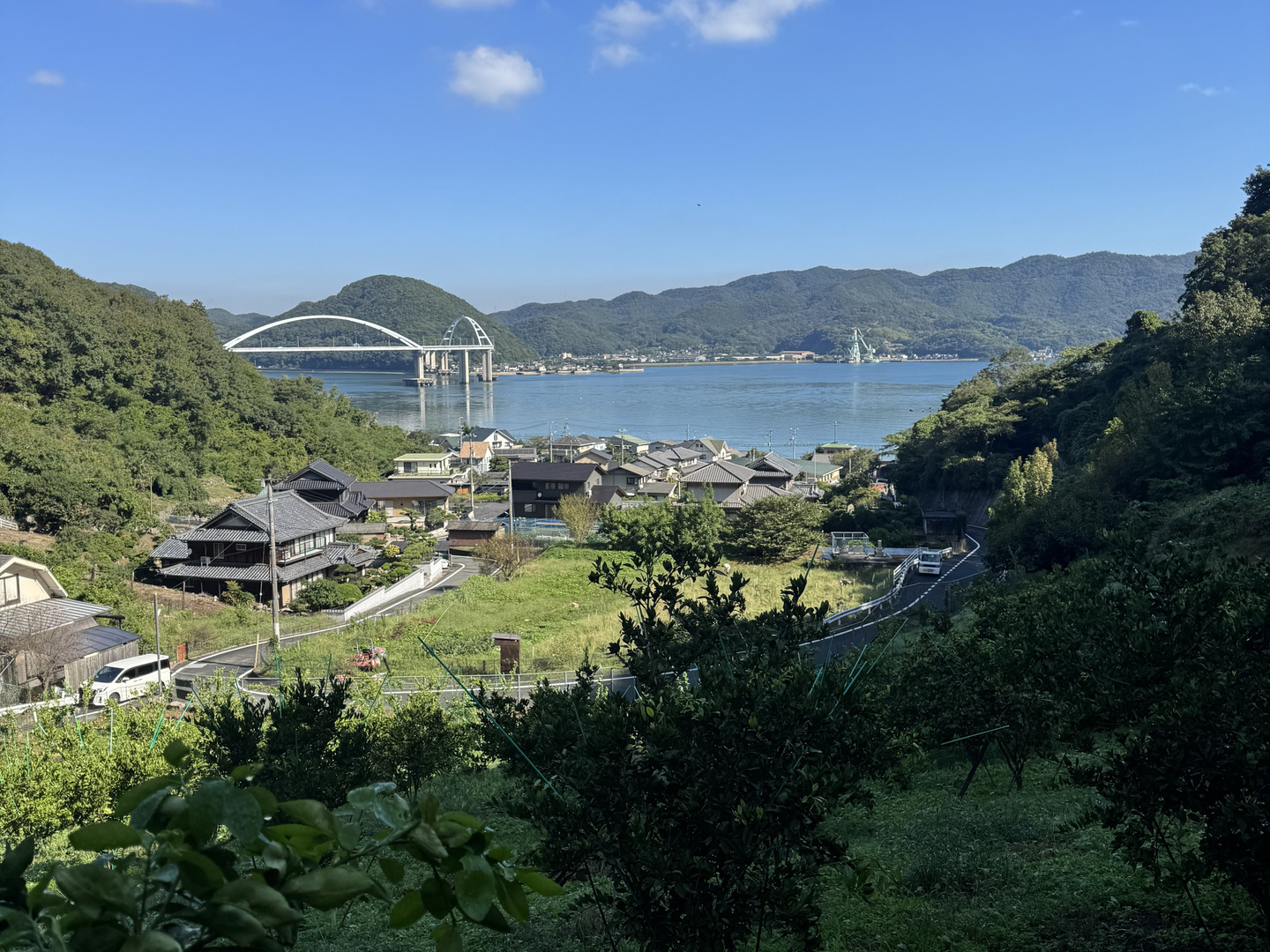 県産ライム２キロ5400円 ライム 2キロ：広島県産のみかん・柑橘類｜食べチョク｜産地直送(産直