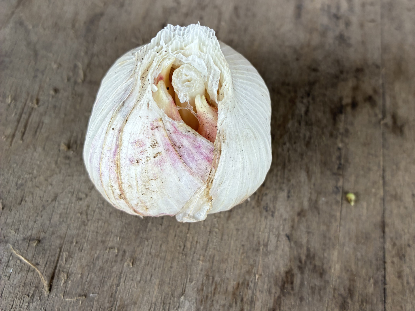 青森県産 令和8年産にんにく S〜SSサイズ混合 約1kg：青森県産のその他