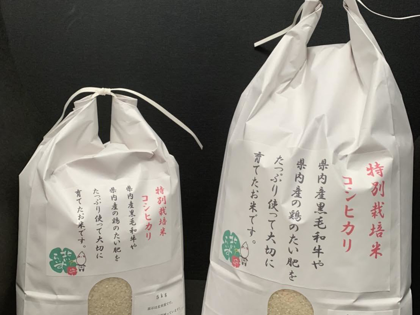 令和6年新米！三重県産特別栽培米コシヒカリ（玄米10kg