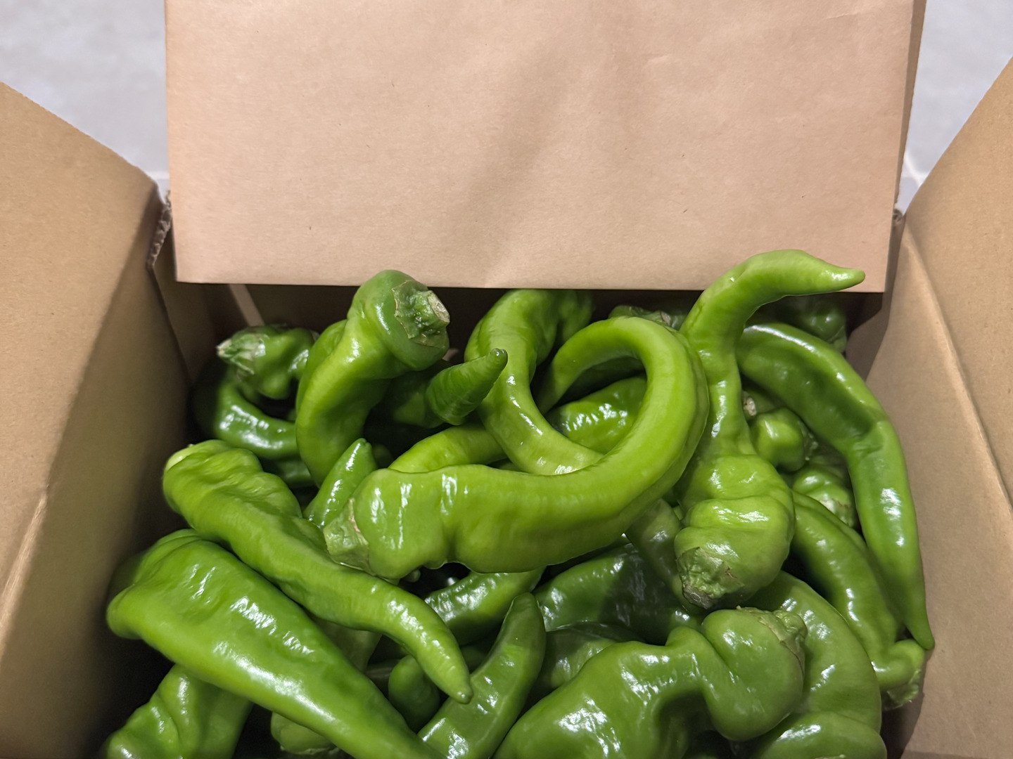 舞鶴特産品【万願寺とうがらし】お得品 甘くて香りが良い 農薬