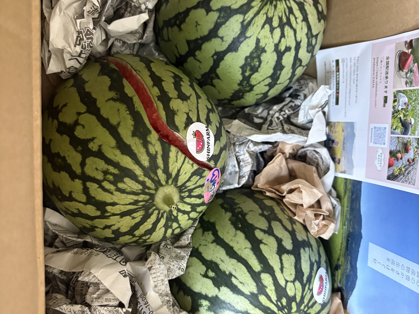 お手ごろサイズ♪名産地熊本県よりお届け‼︎小玉スイカ3玉入り(1.35kg