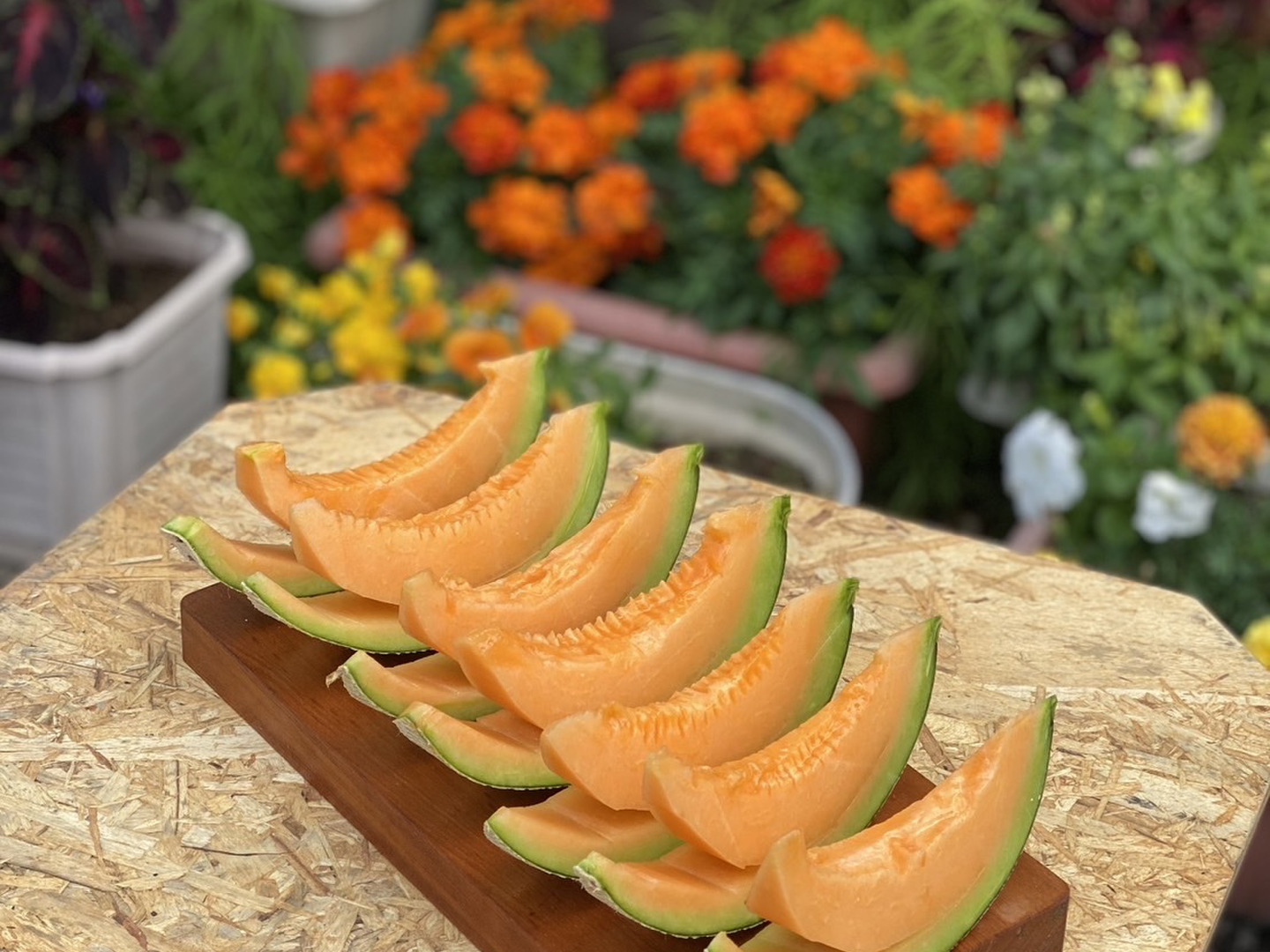 北海道限定品種】コクがあり爽やかな味わいティアラメロン赤肉7玉入（8