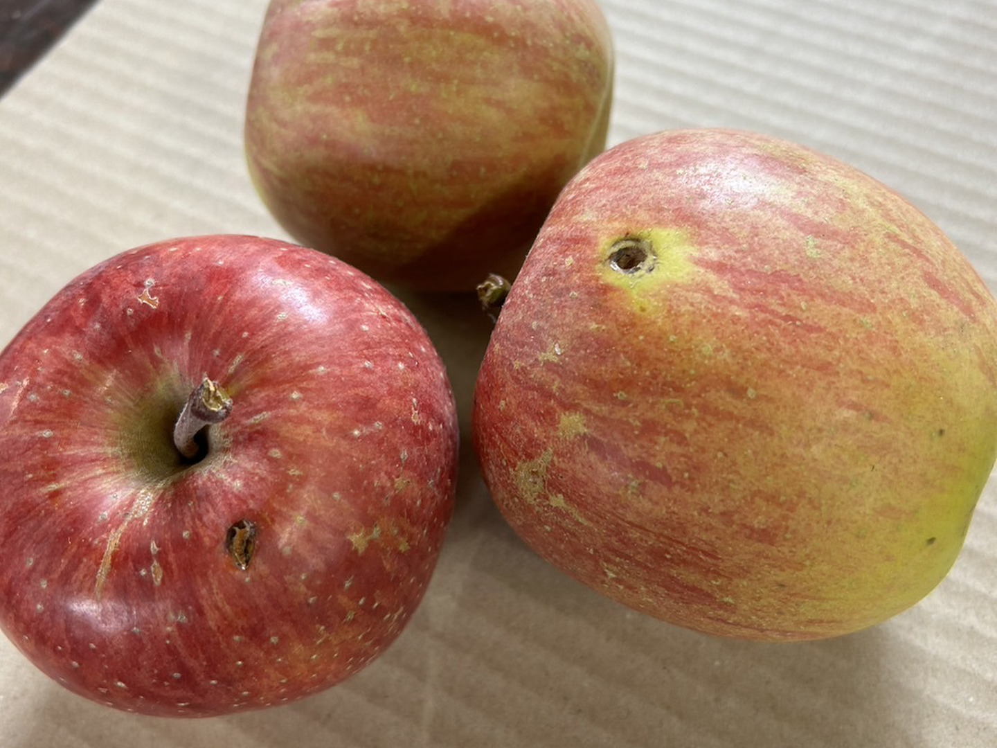 先行予約】🍎《家庭用》青森完熟葉とらずふじ8〜15玉(約3kg