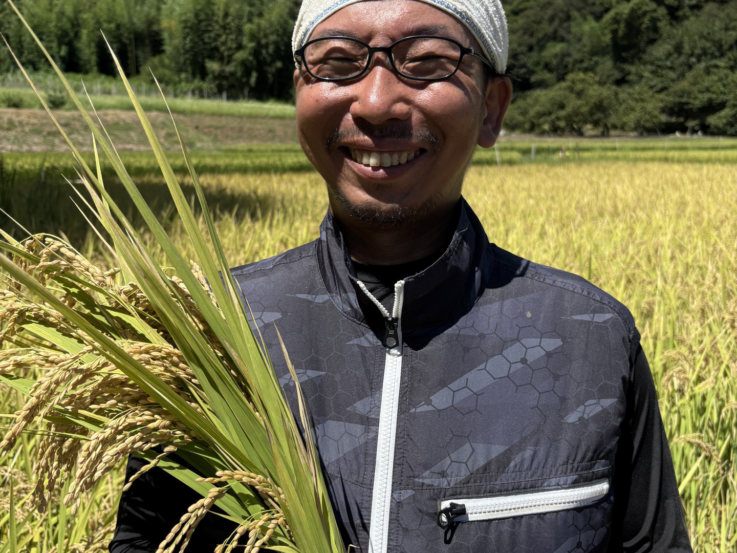 あにやん　はるみ5kg×4 ビニール温室 スリム 4段用 替えカバー ASH-20CT 4975149569595