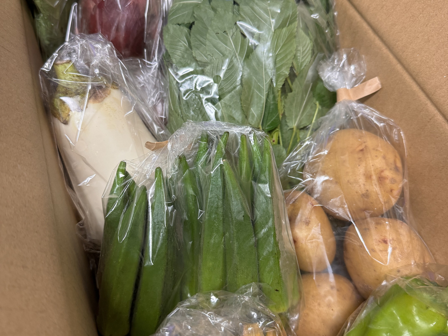 ☆期間中農薬不使用☆お野菜オーダーページ