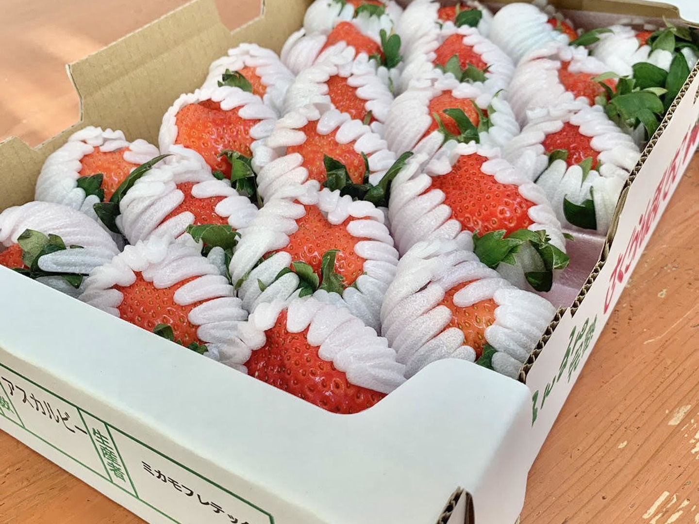 数量限定】大きすぎてゴメンなさい！不揃いイチゴ：徳島県産のあすか