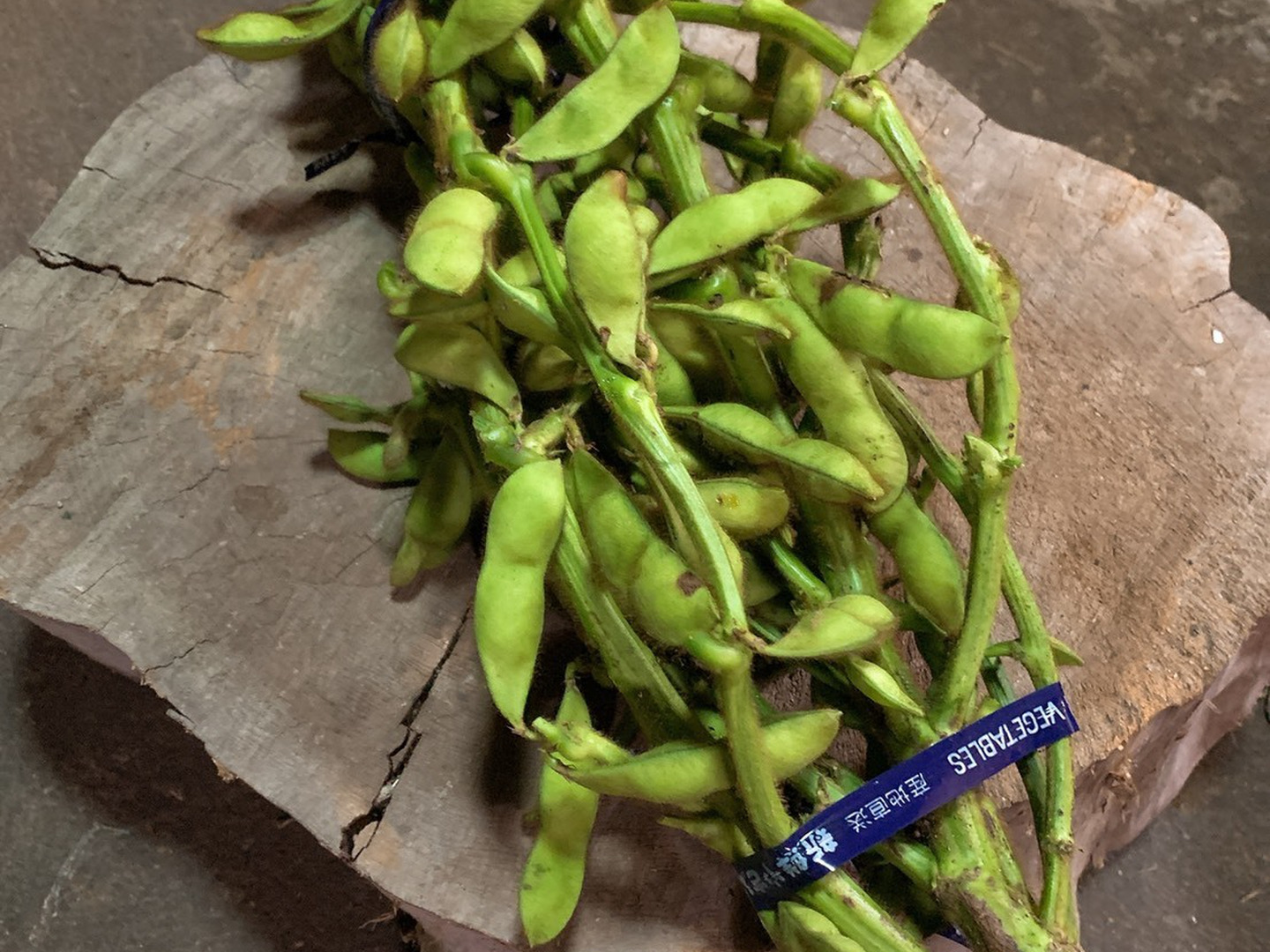 京野菜　枝付き枝豆入荷です 枝付き枝豆【業務用食材の仕入れなら八面六臂】