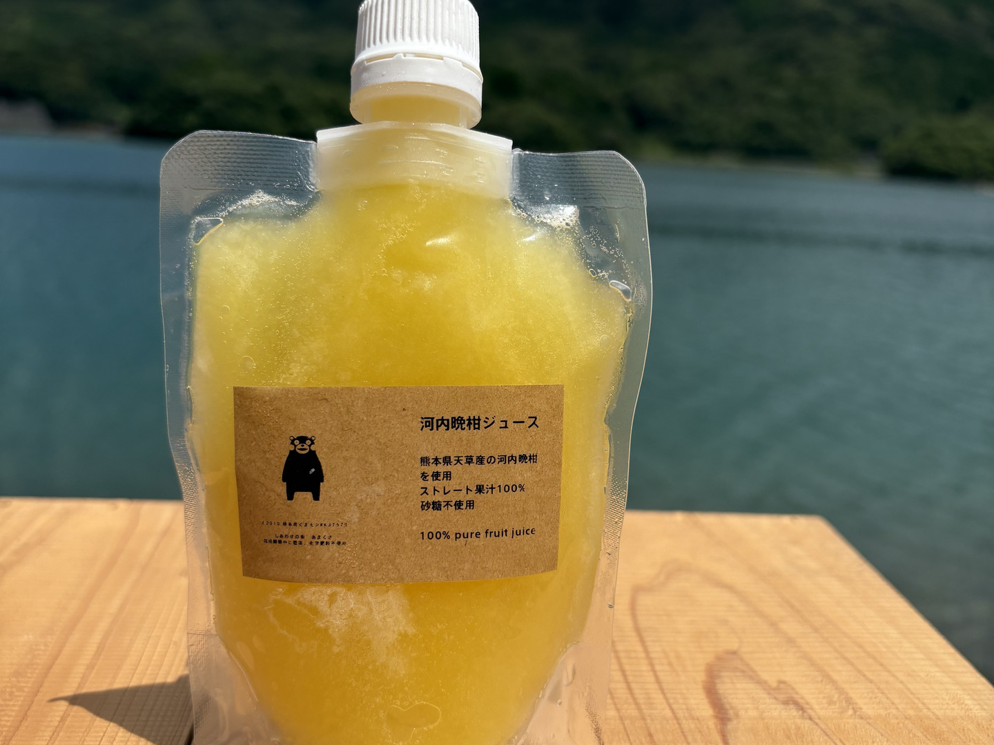 夏ギフト】冷凍河内晩柑ジュース6本セット（1本150ml）：熊本県