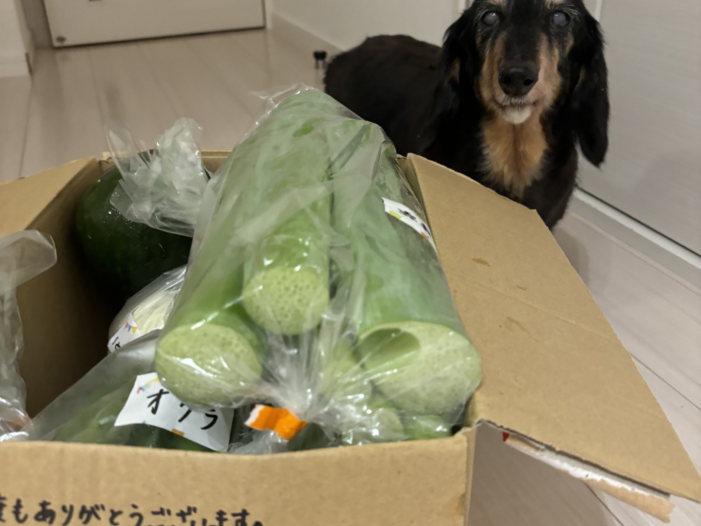 数量限定☆2か月だけのセット🎁】甘さいっぱい！お得いっぱい