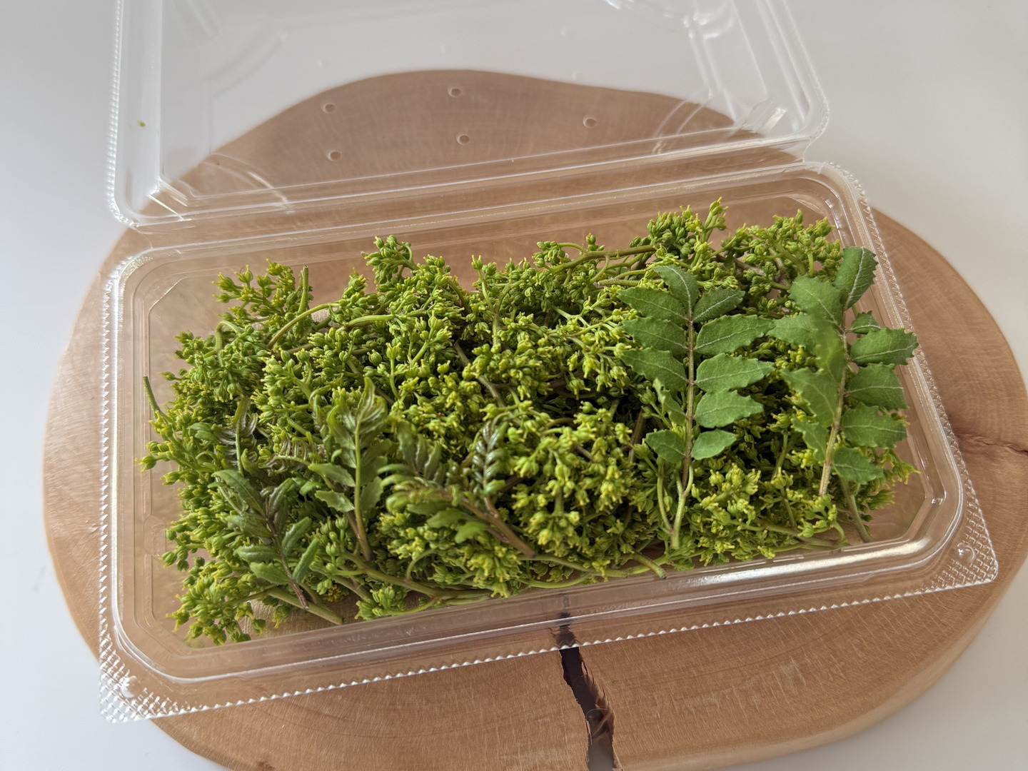入手困難】雌花 マルホ農園花山椒🌿50g ＋木の芽付き：和歌山県