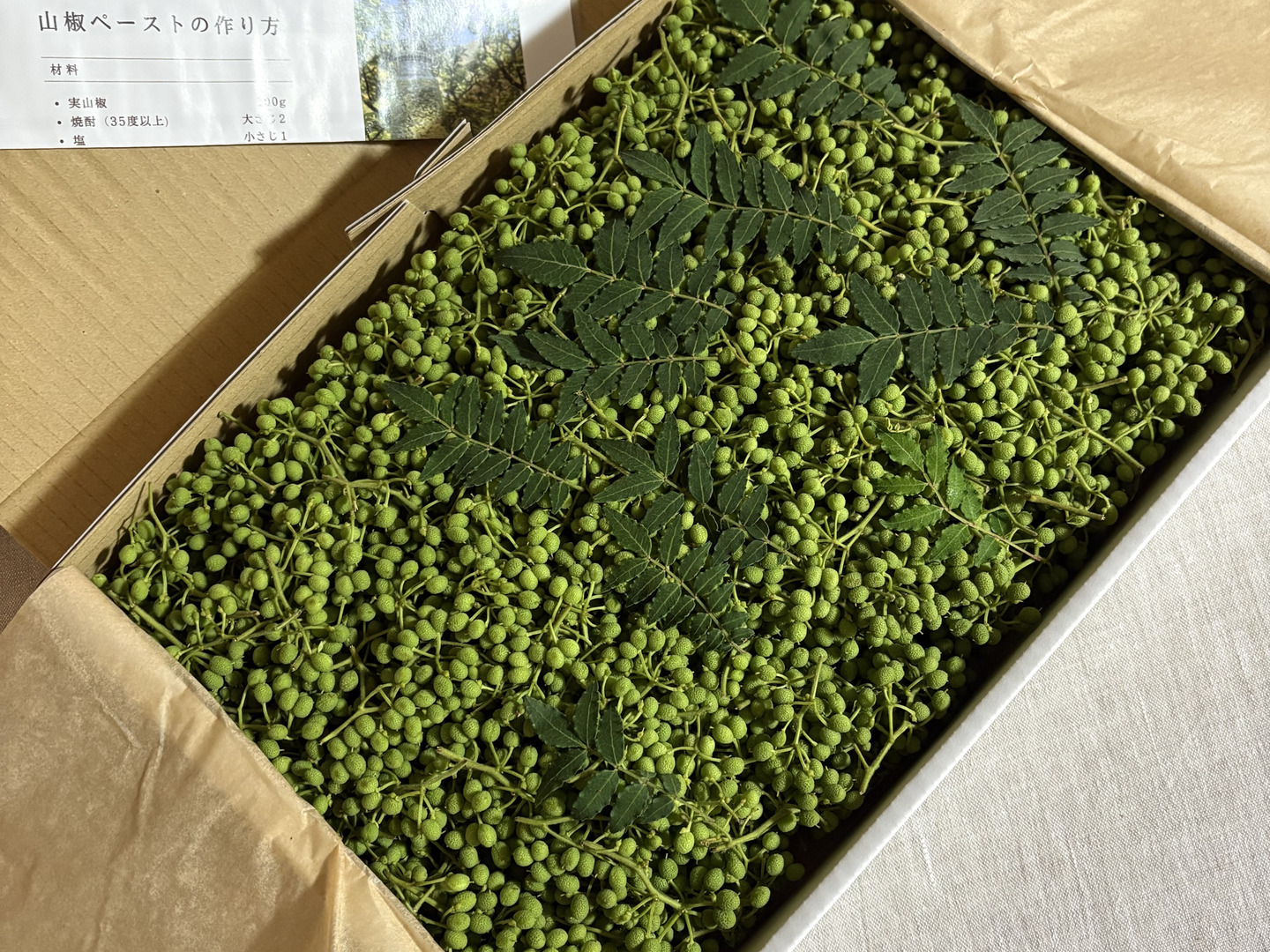 ン 大人気 新品 ノ 1Kg【本場有田川の実山椒】ぶどう山椒：和歌山県産の実山椒 野菜