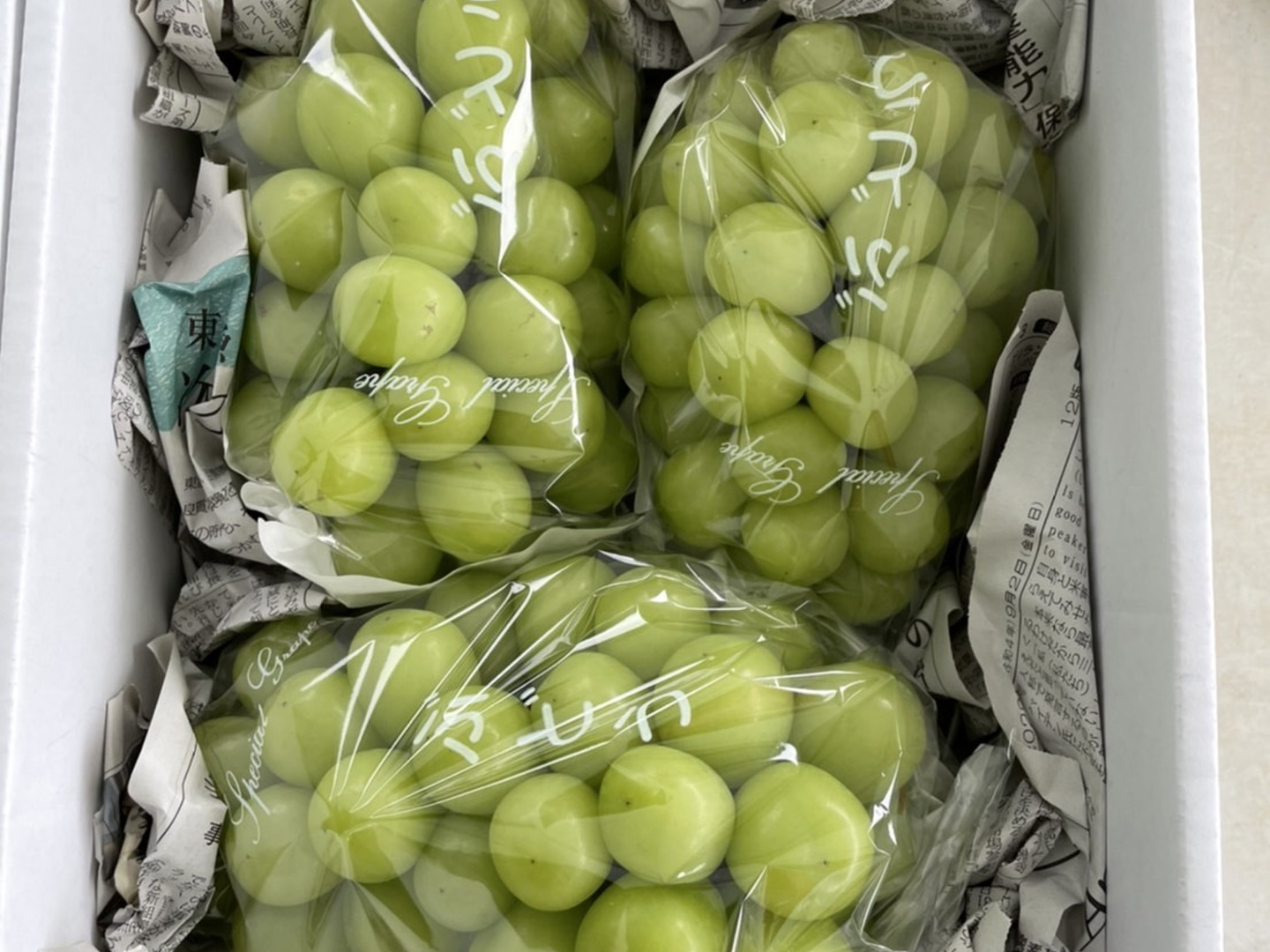 最終の最終冷蔵庫空〜のシャインマスカット２kg 赤肉蜜入りもあるりんご見繕い シャインマスカット入 旬採りぶどう詰め合わせセット（小