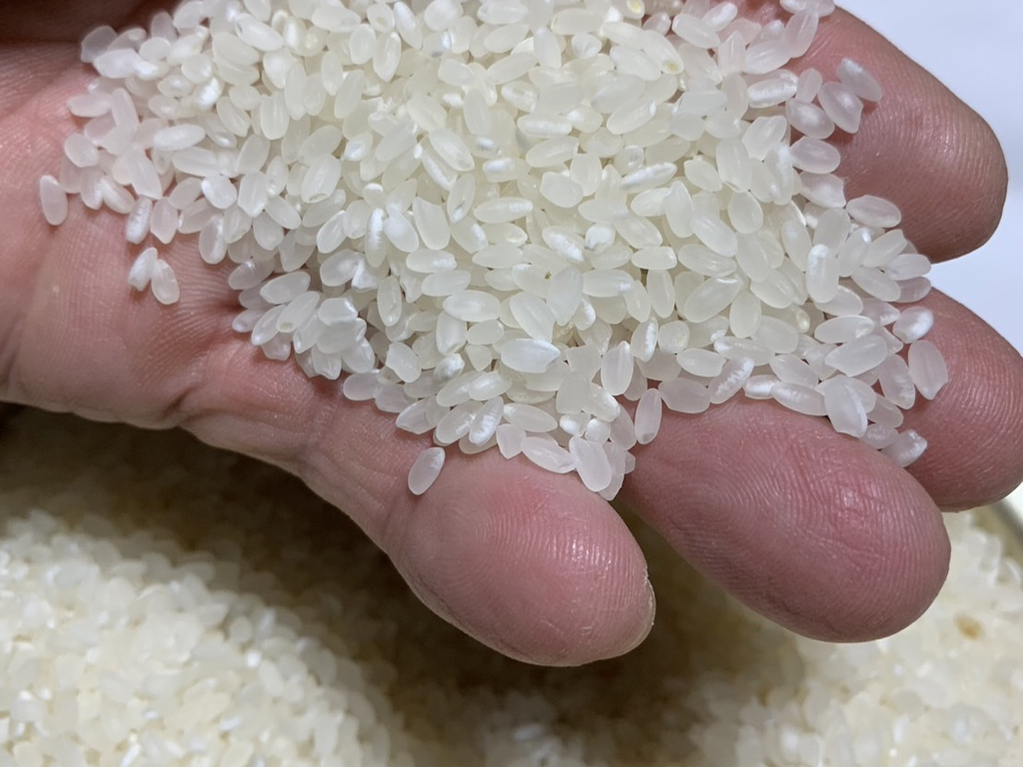 新鮮（米専用冷蔵庫保存）玄米30kg長崎県産『にこまる』