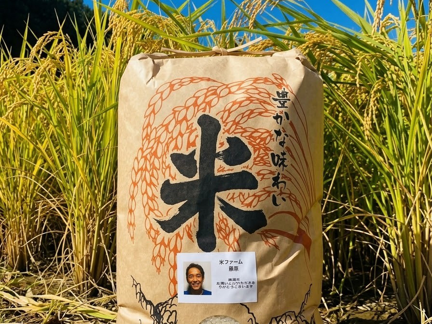 令和8年産新米】【低農薬】あきさかり10kg 精米済 広島県庄原市東城町