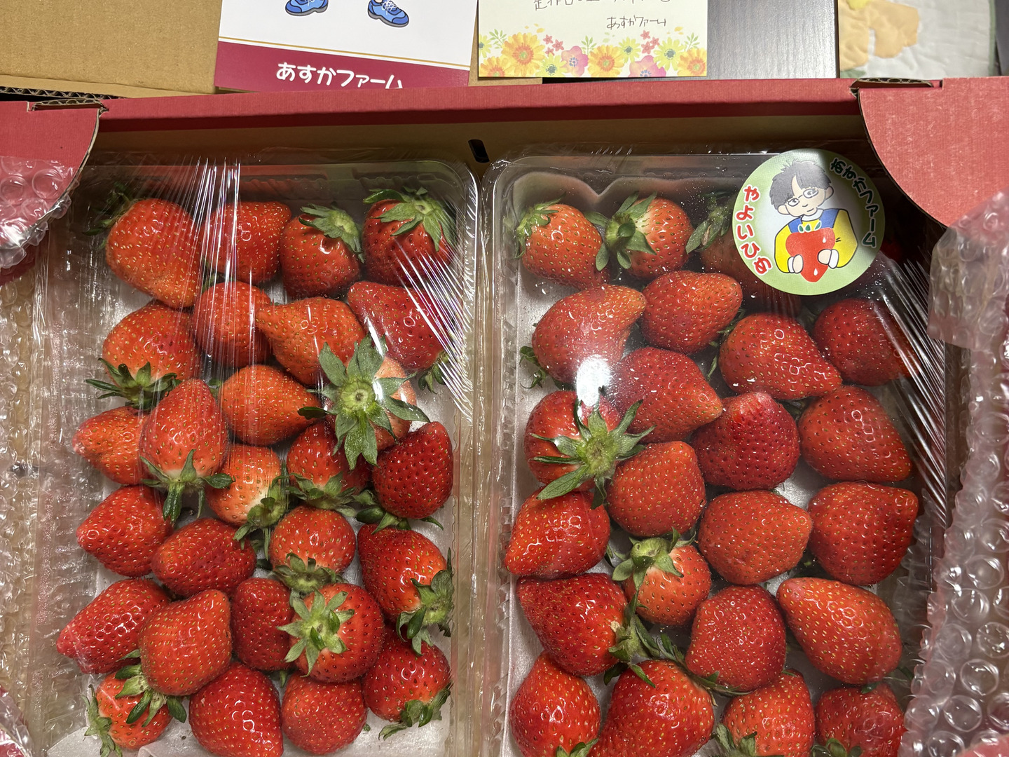 【送料無料/即納】  12月先行予約】【お歳暮、お年賀】【2年連続品評会入賞 フルーツ