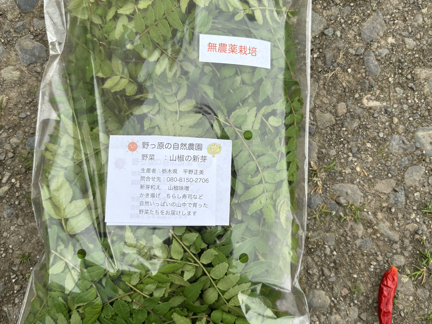 【5月末までクール便】限定一箱　木の芽　300-400枚くらい？　山椒 b0eb512f85c274638919b3bc0db4f3