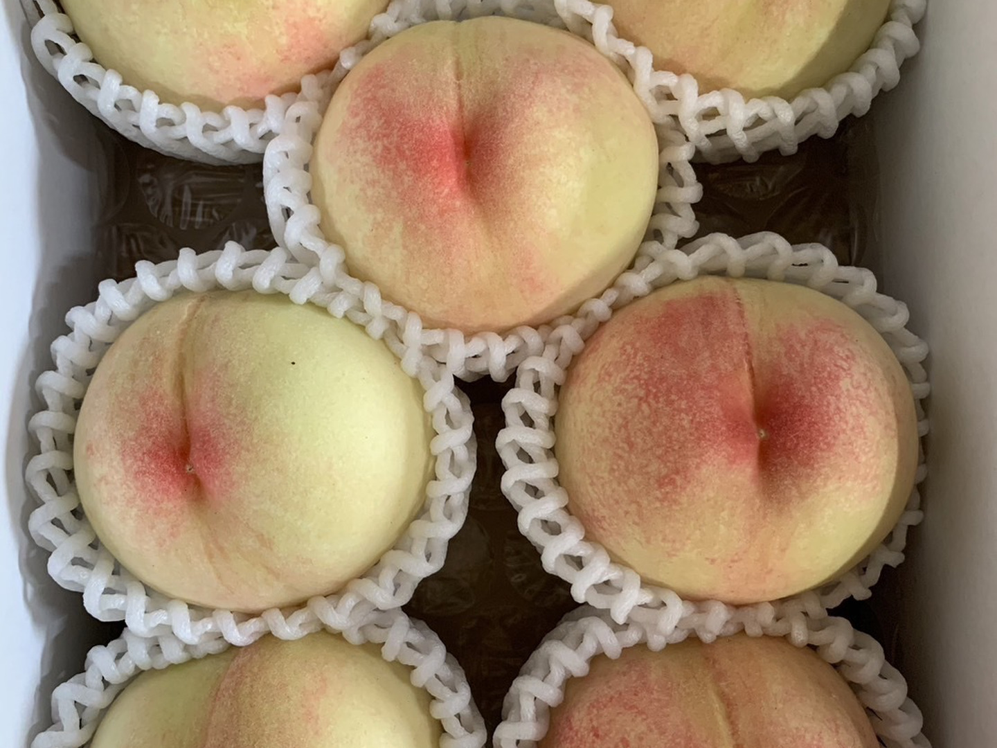 岡山白桃♡指定可能7品種美味しい〜ご家庭用約2kg5~8個入り