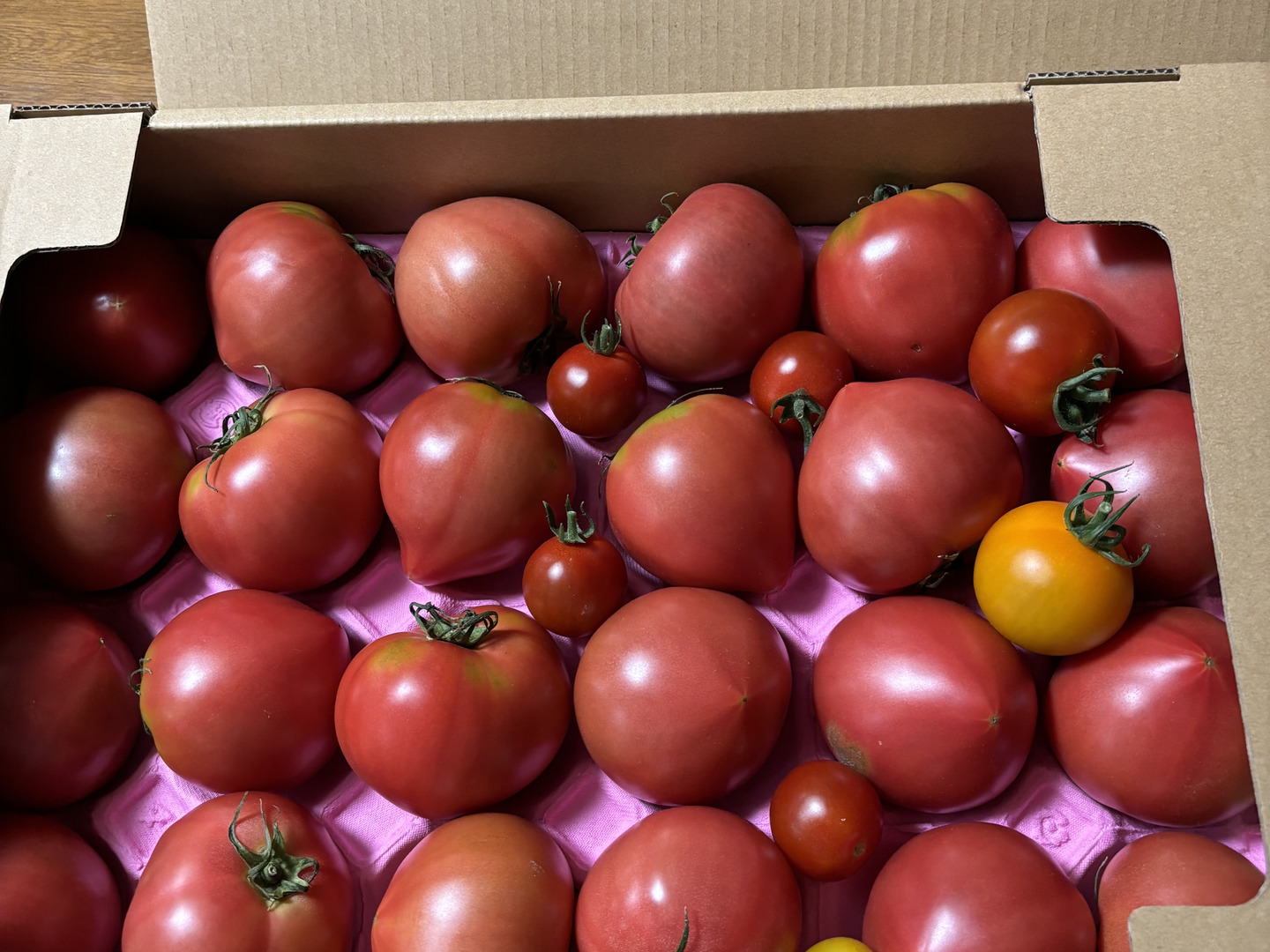 100％純トマト🍅4キロ箱【雪ちゃんトマト】桃太郎トマトL or M