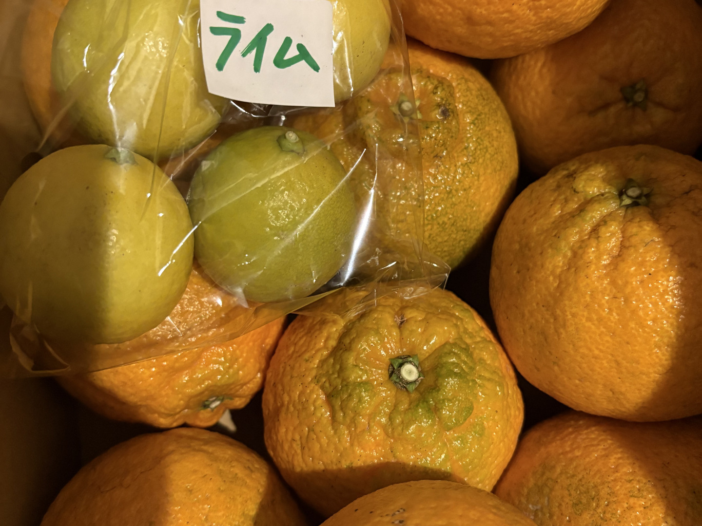 お歳暮・冬ギフト特集2024 有機JAS認証】不知火3kg：熊本県産のみかん・柑橘類｜食べチョク 果物
