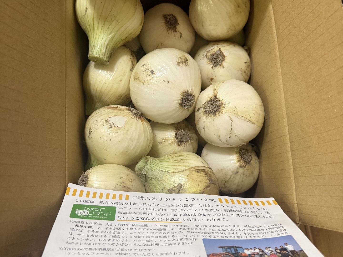 この時期にしか食べられない♪淡路島新玉ねぎ「とろ甘・早生種