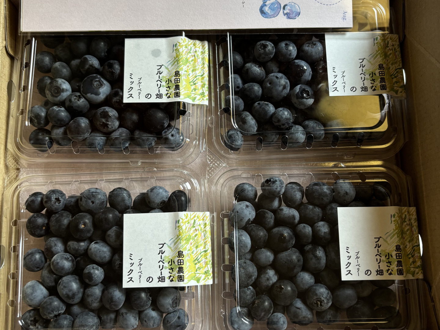 朝採り！旬の生ブルーベリー（ミックス）125g×4パック：栃木県産