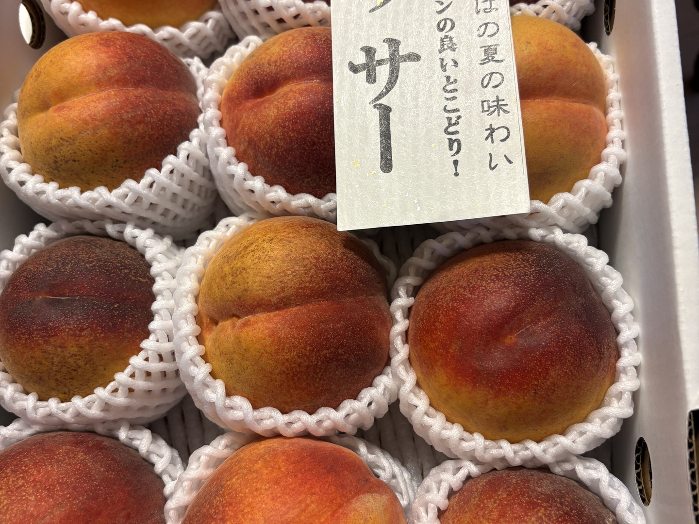 ①早生ワッサー　訳あり10キロ ワッサー ならお任せ！！ 信州ならではの桃 訳あり ご家庭専用コース