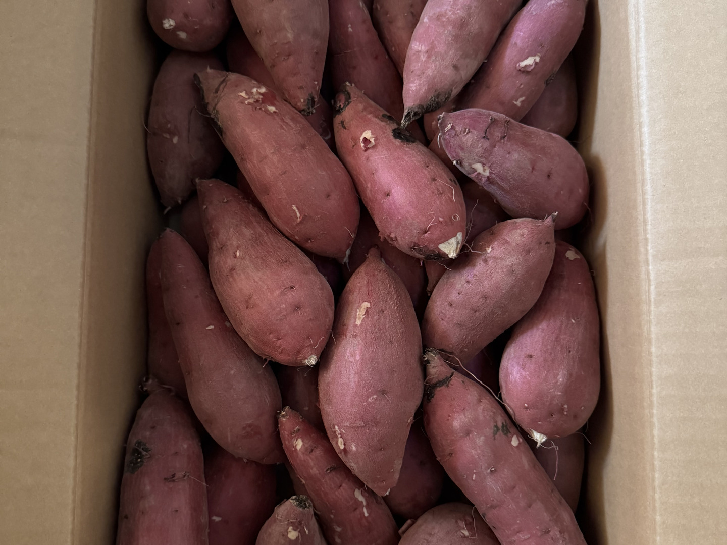 ねっとり甘い！熟成紅はるか Sサイズ 5kg さつまいも：茨城県産