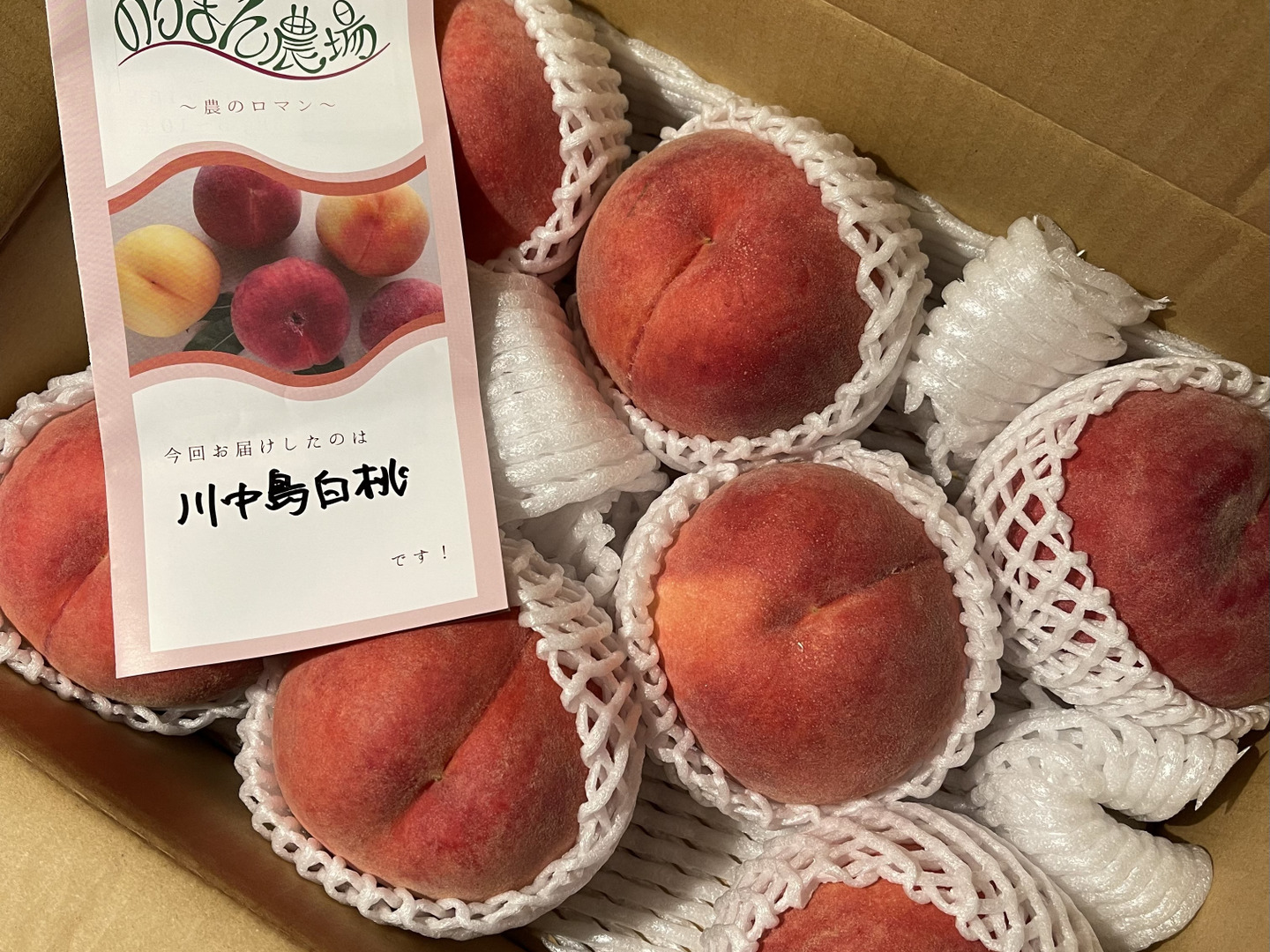 新鮮な桃 13個入り 楽天市場】和歌山産 紀州 あらかわの桃 約4kg 大玉 13個入り