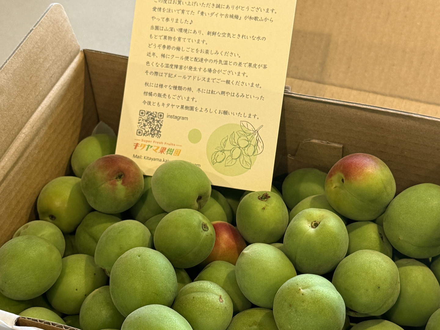 梅酒・梅シロップに最適！ 和歌山県産希少品種 古城梅（青梅） 2kg（L