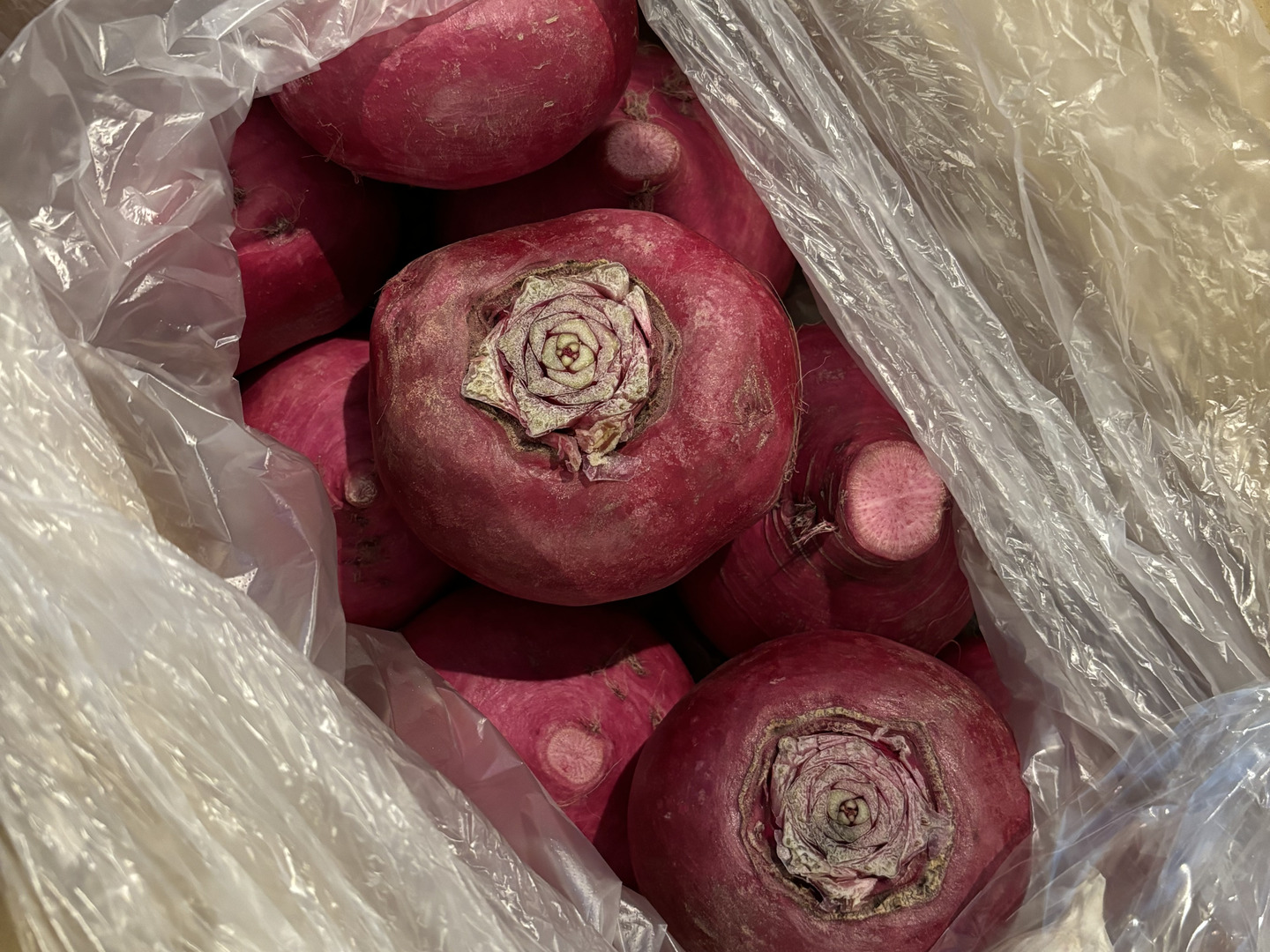 当社の 農薬・化学肥料不使用】MOA自然農法で育った赤かぶ 5kg：青森県 野菜