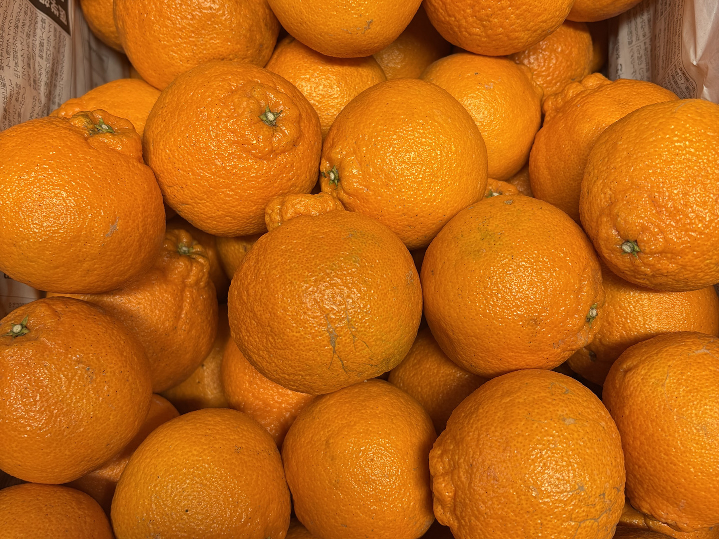 最適な材料 家庭用】広島県産 ｢不知火(しらぬい)｣ 2kg：広島県産のみかん 果物
