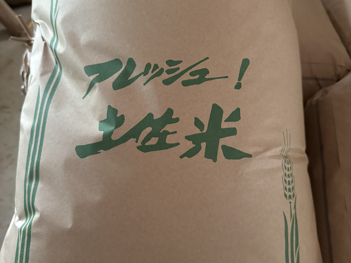 予約🌾【令和7年産新米】高知県産 コシヒカリ 30キロ 玄米：高知