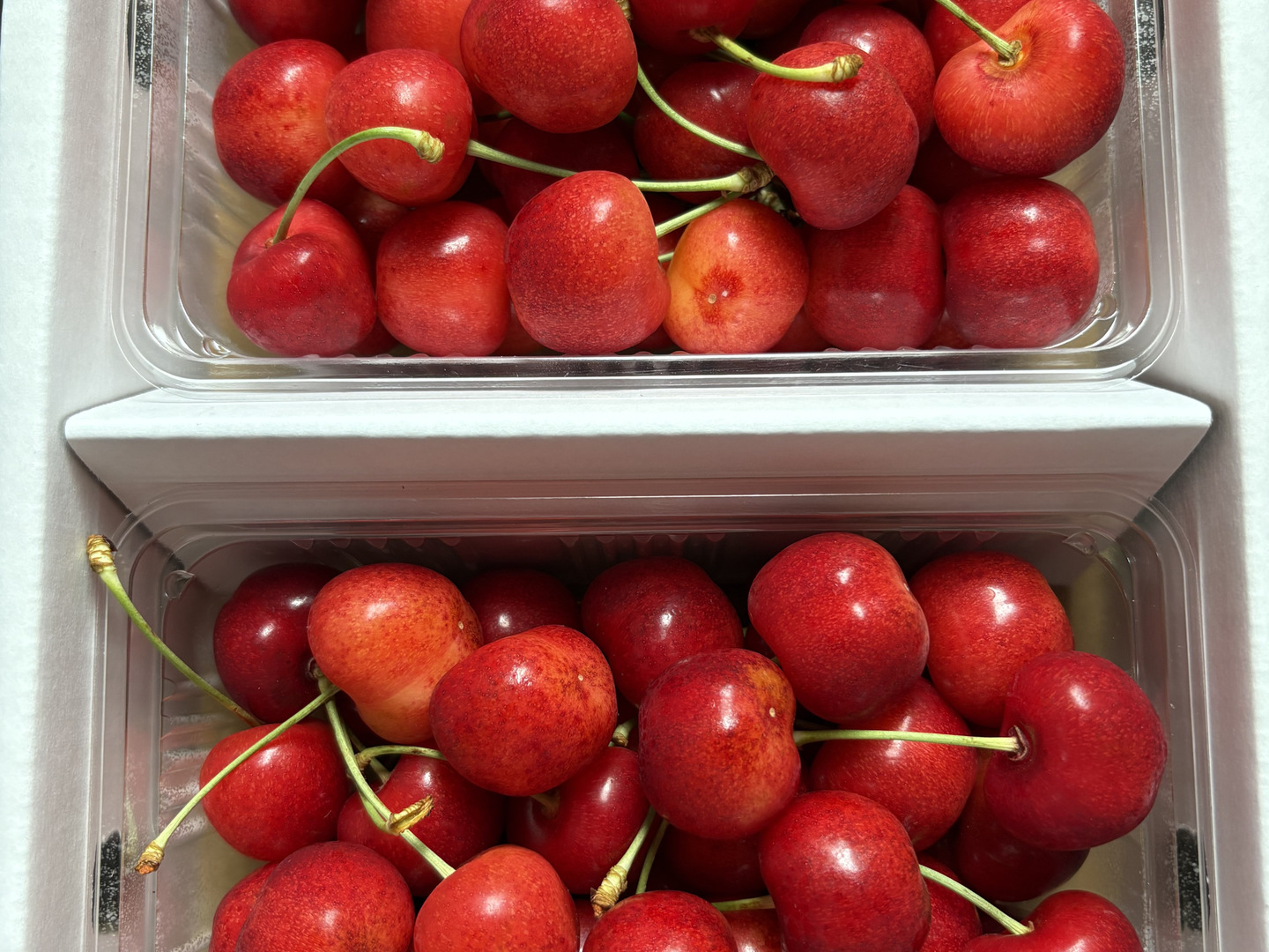 やまがた紅王】🍒1キロ🍒【2Lサイズ以上】【さくらんぼ】【話題の新