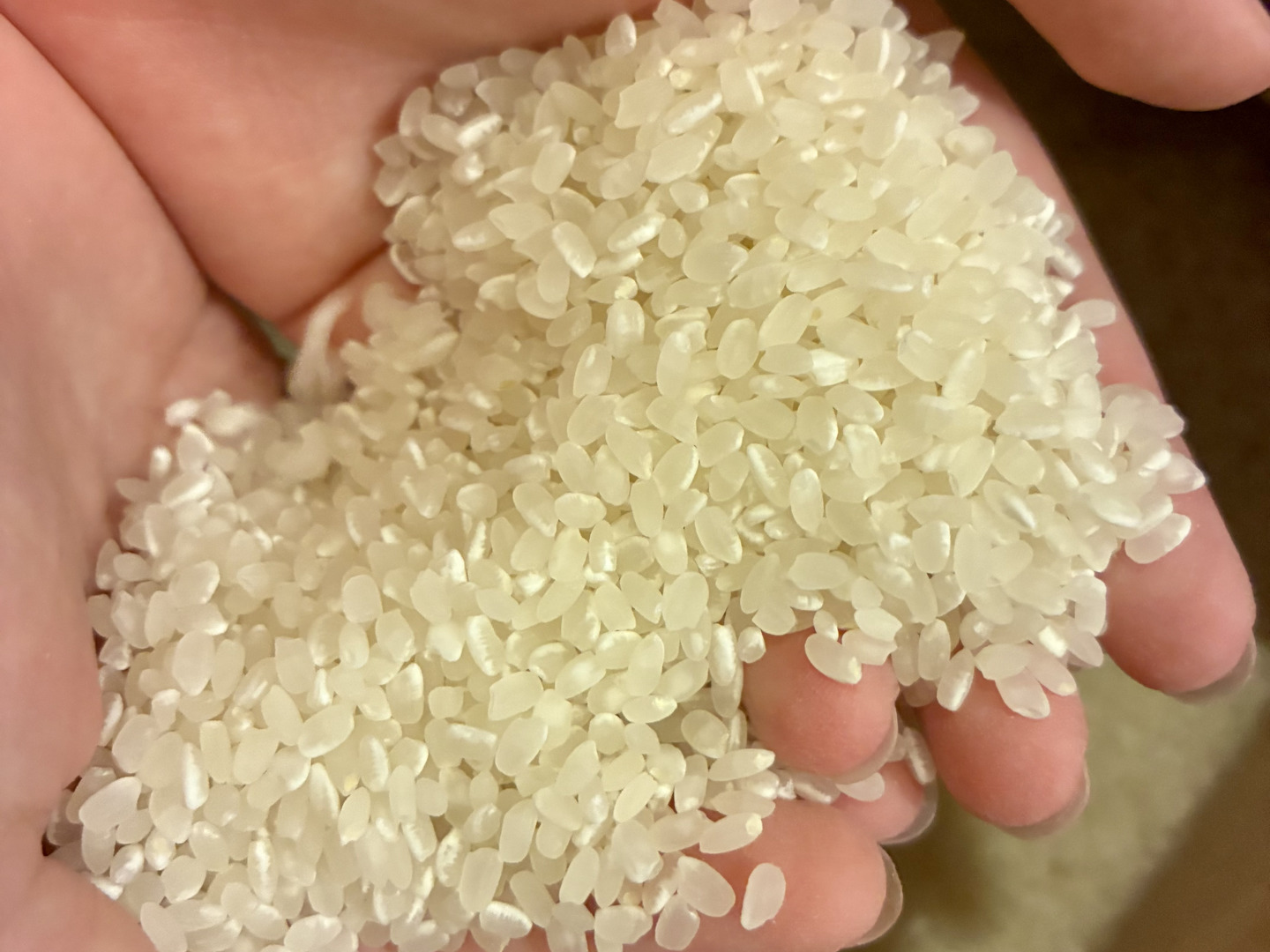 令和8年産・新米】淡路島産キヌヒカリ｜家族で育てたつややかで